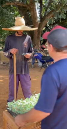 L2709002 Gerente de hortaliça age de má fé na empresa part2