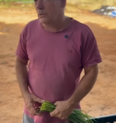 L0509003 Um segredo revelado parte 2