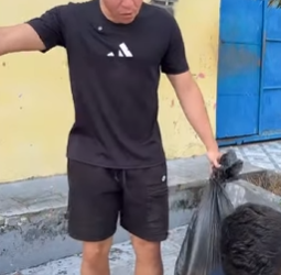 L0620004 Eles salvaram vida dessa miliona ria, mais não part2