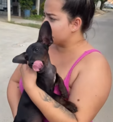 L1515002 Abandono de animais part2