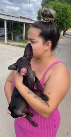 L1515002 Abandono de animais part2