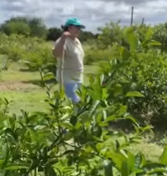 L2115003 preconceituoso part2