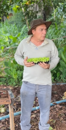 L2409005 foi humilhar peão da fazenda acabou se dando parte 2