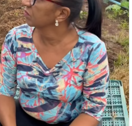 L0309005 Gerente de hortaliça age má fé patrão descobre part2