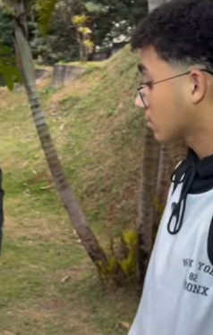 L2618005 QUE ABSURDO! parte 2