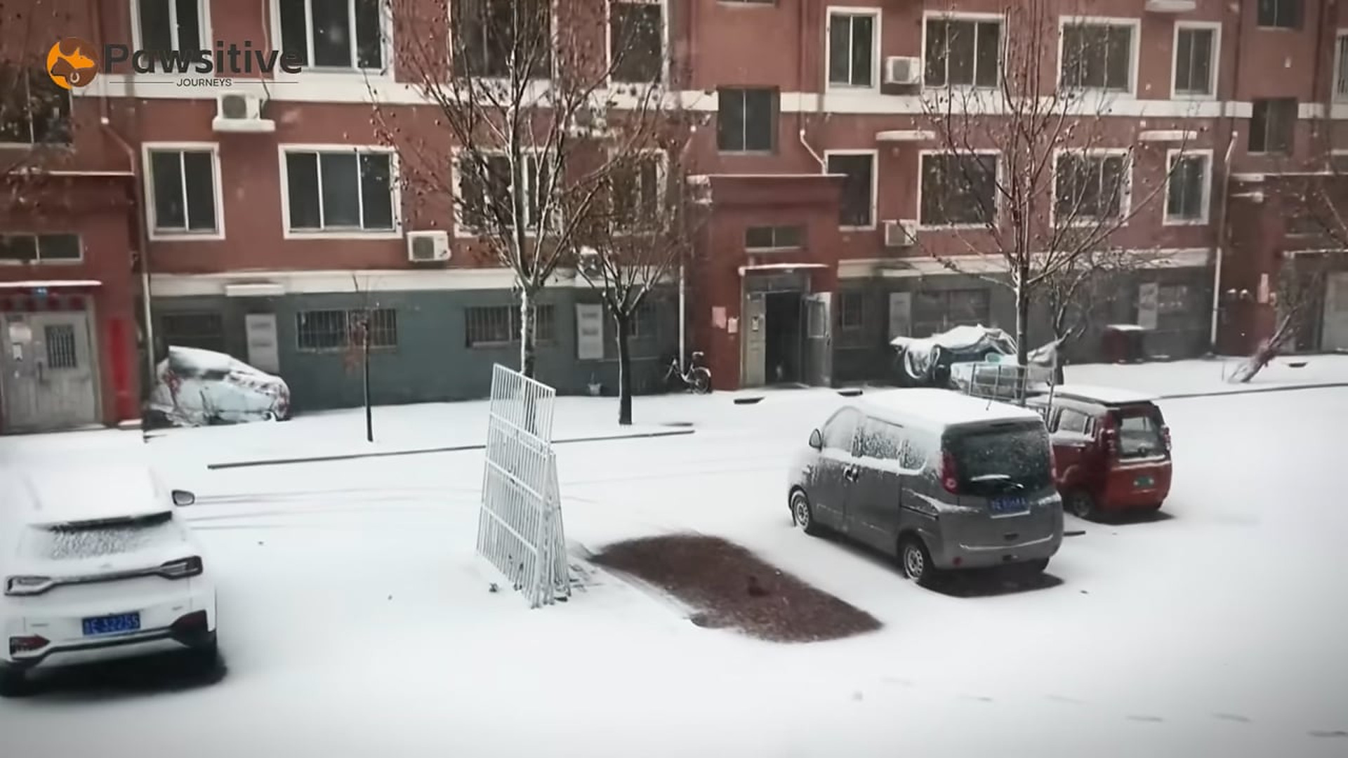 B0404018_The Man Who Dislikes Pets Unexpectedly Rescued a Frozen Stiff Dog