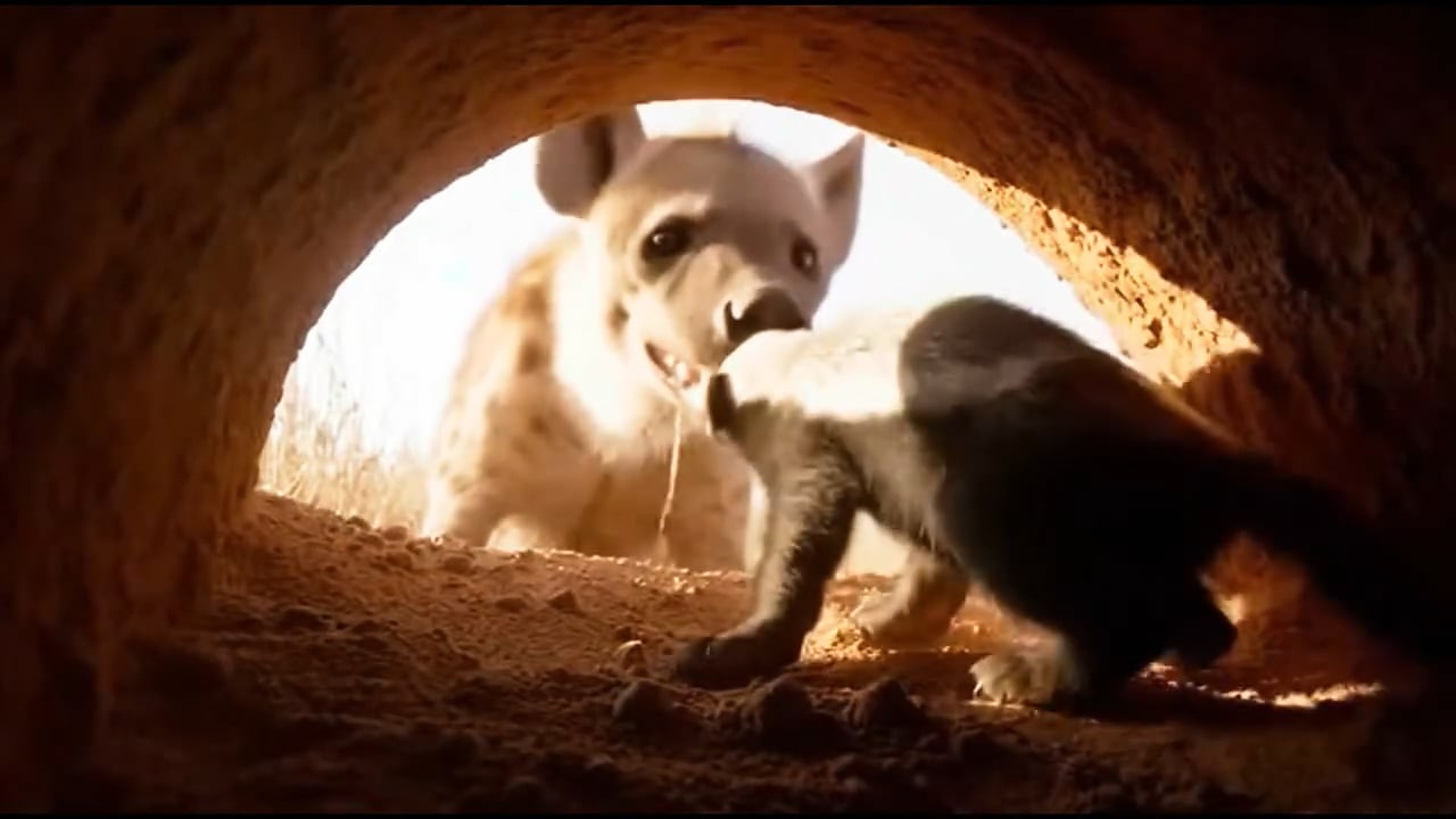 B0904032_One vs many… zero fear