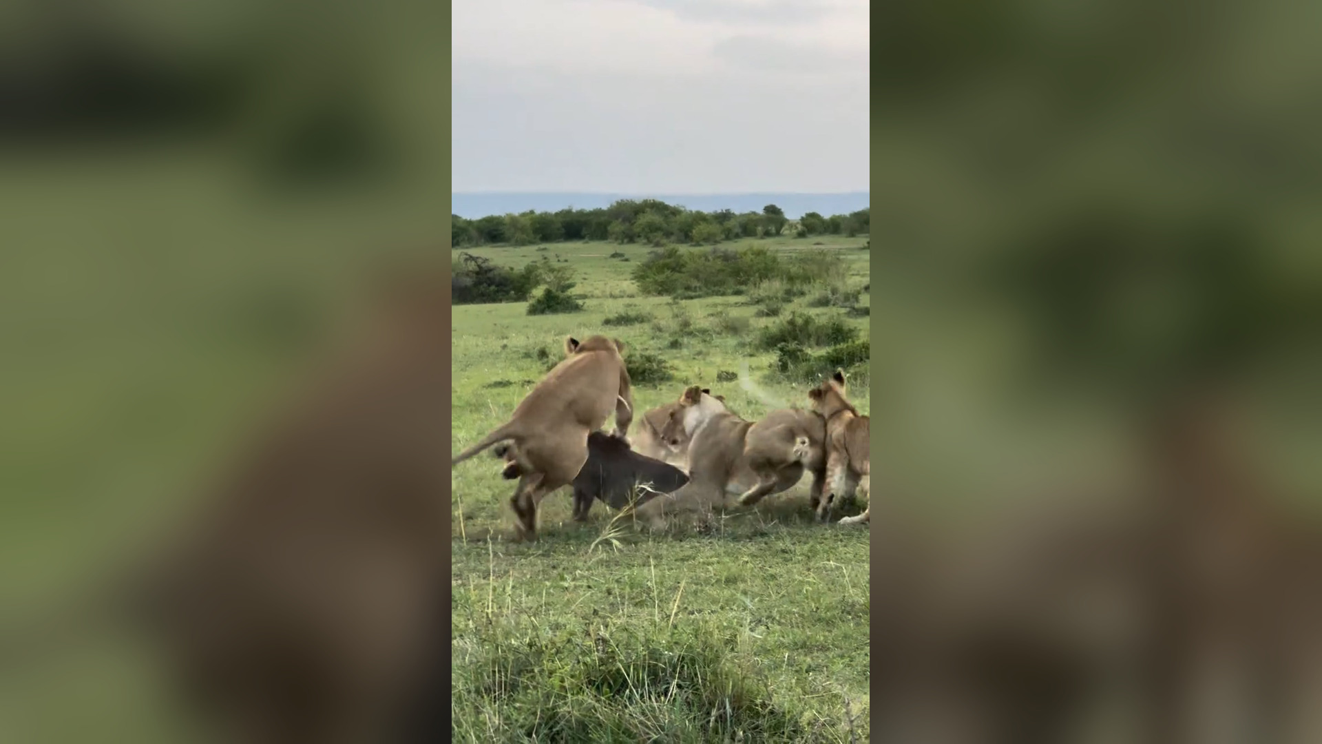 B0904008_Nature doesn’t hide the truth