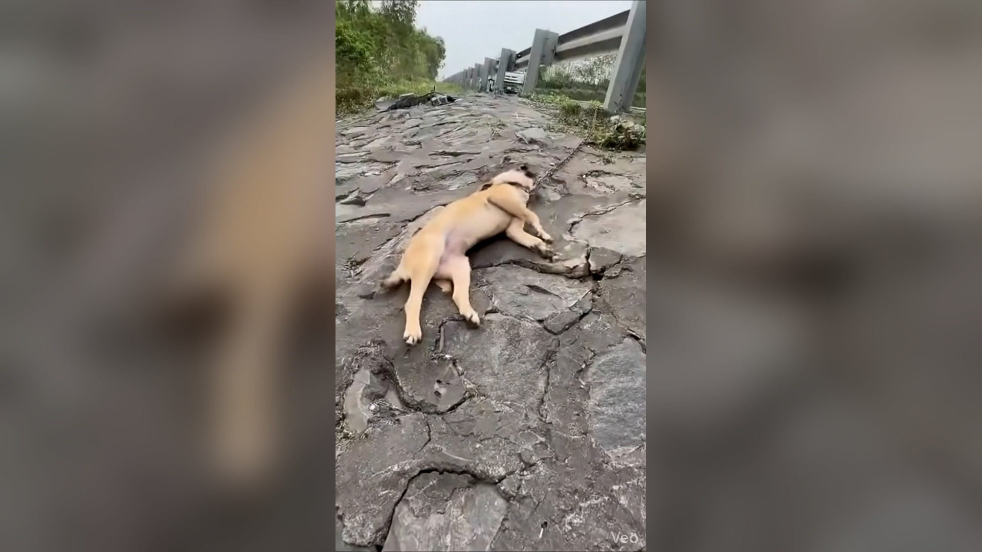 B0904009_Thismomentithitsharderthanyouexpect_ywmys4_v2