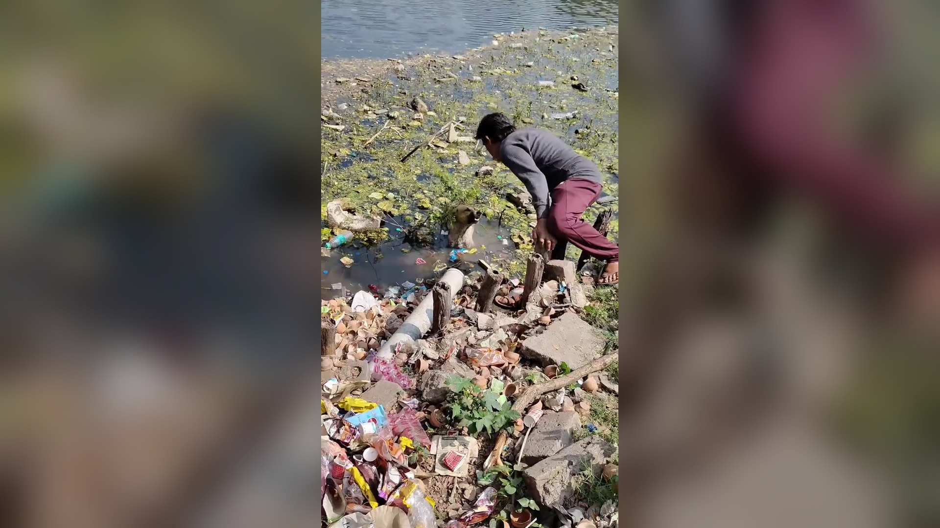 B1104646_This is rote oz