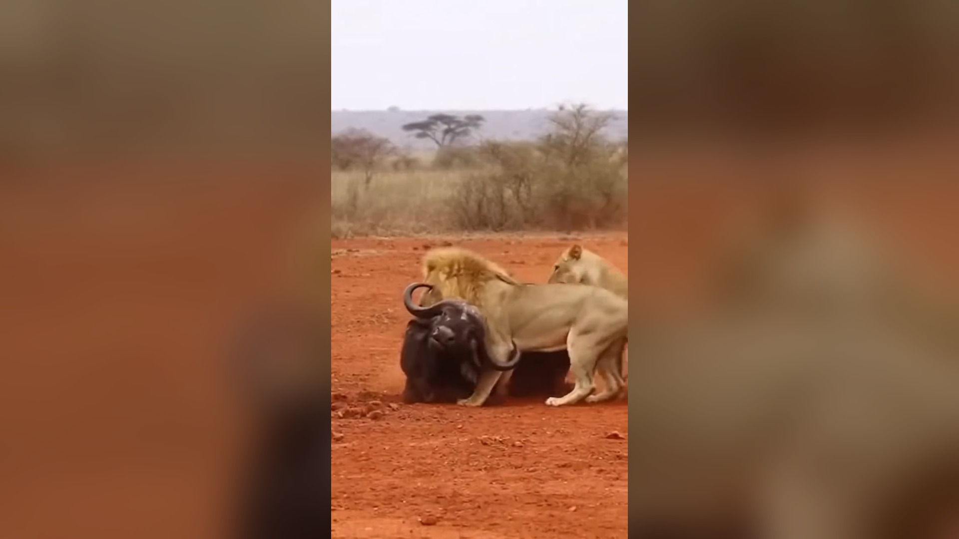 B1204369_Hunter Becomes