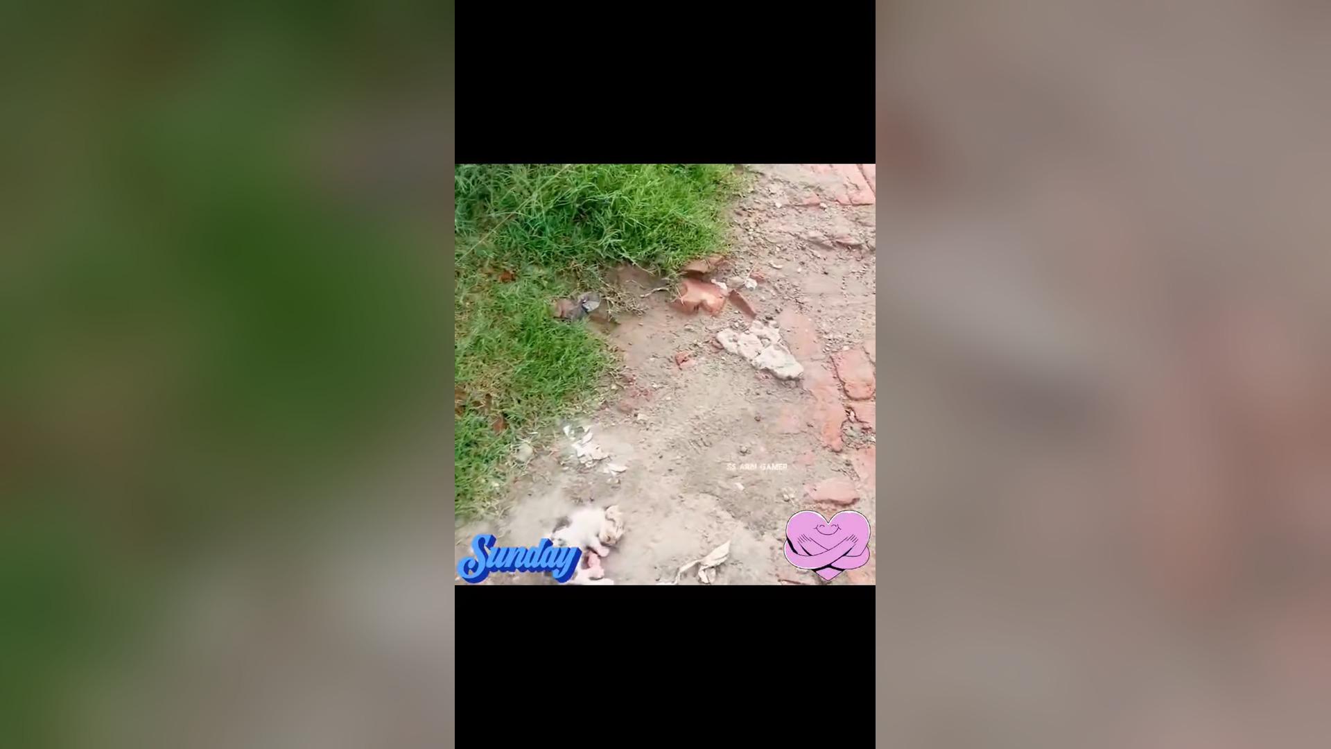 B1304235_We are respect you br