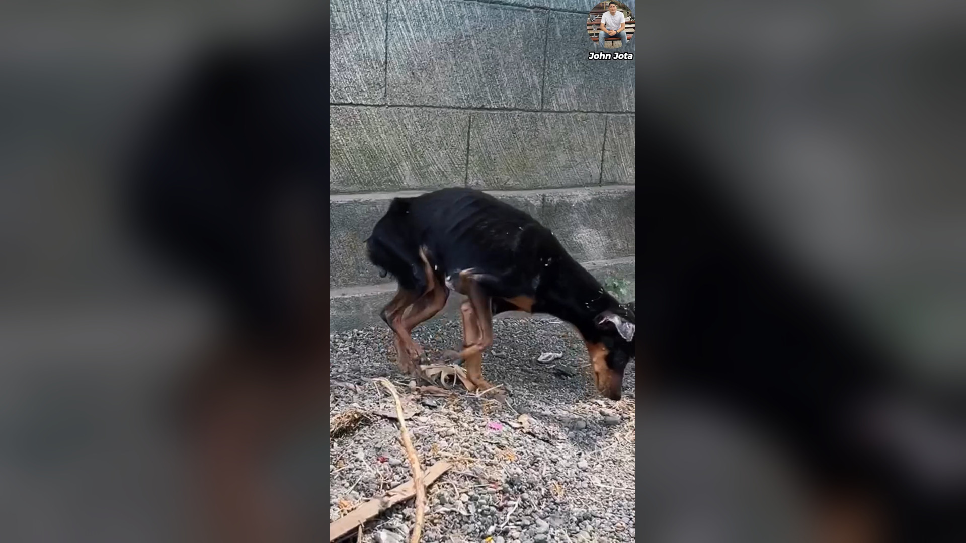 B1304906_He didn't look at anyone until he found who he was with.