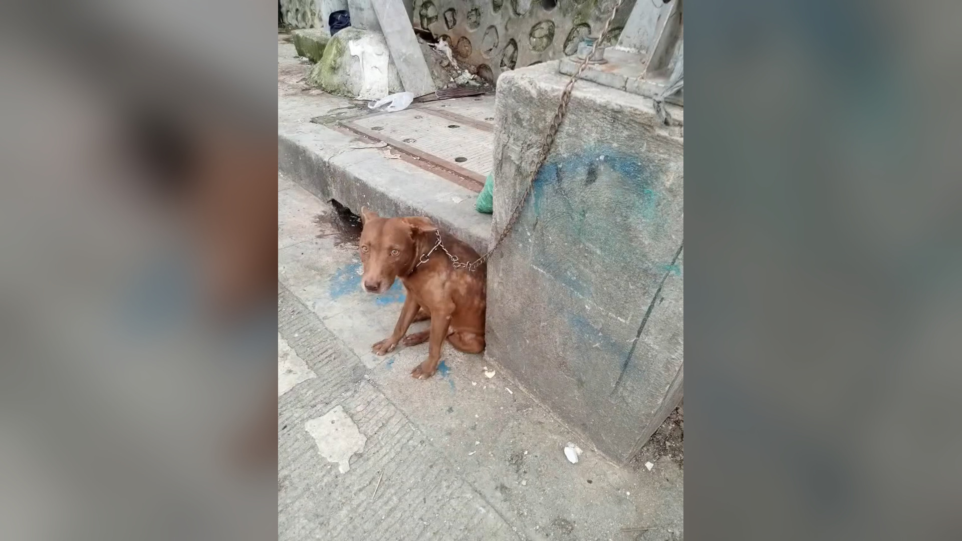 B1304908_Marco rescued