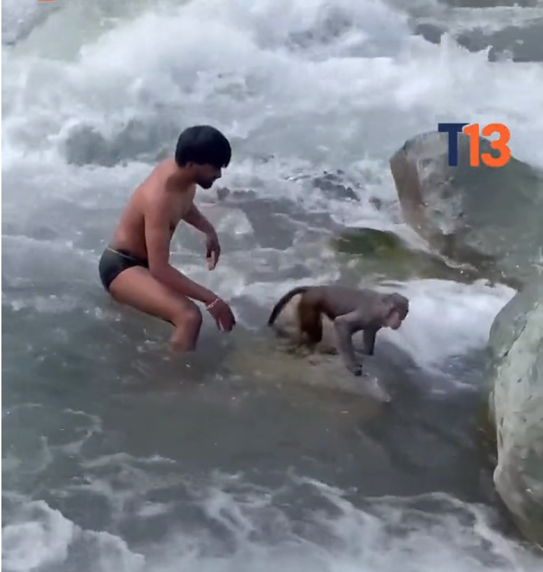 B3103003_teletrece #WildlifeRescue #SaveWildlife #ProtectWildlife #AnimalRescue #EndWildlifeTrafficking #FYP